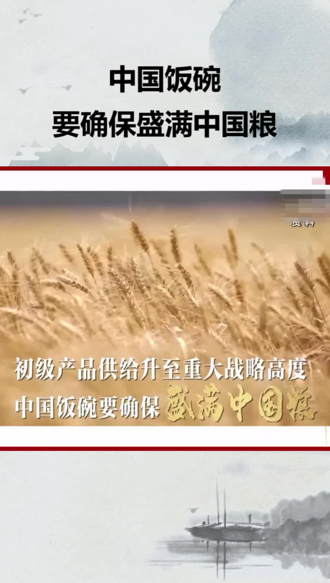 中国饭碗要确保盛满中国粮